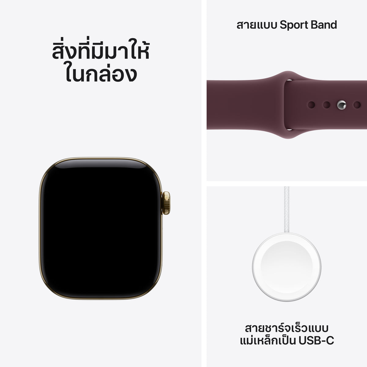 Apple_Watch_Series_12_42mm_GPS_plus_Cellular_Radiant_Gold_Titanium_Sport_Band_Burgundy_PDP_Image_Position_7__th-TH