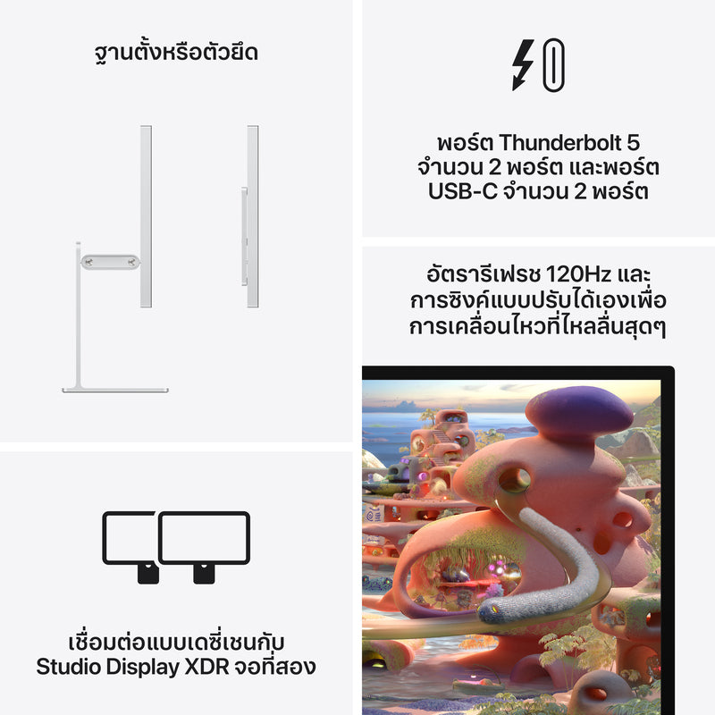 Studio Display XDR - กระจกมาตรฐาน - ฐานตั้งที่ปรับความเอียงและความสูงได้